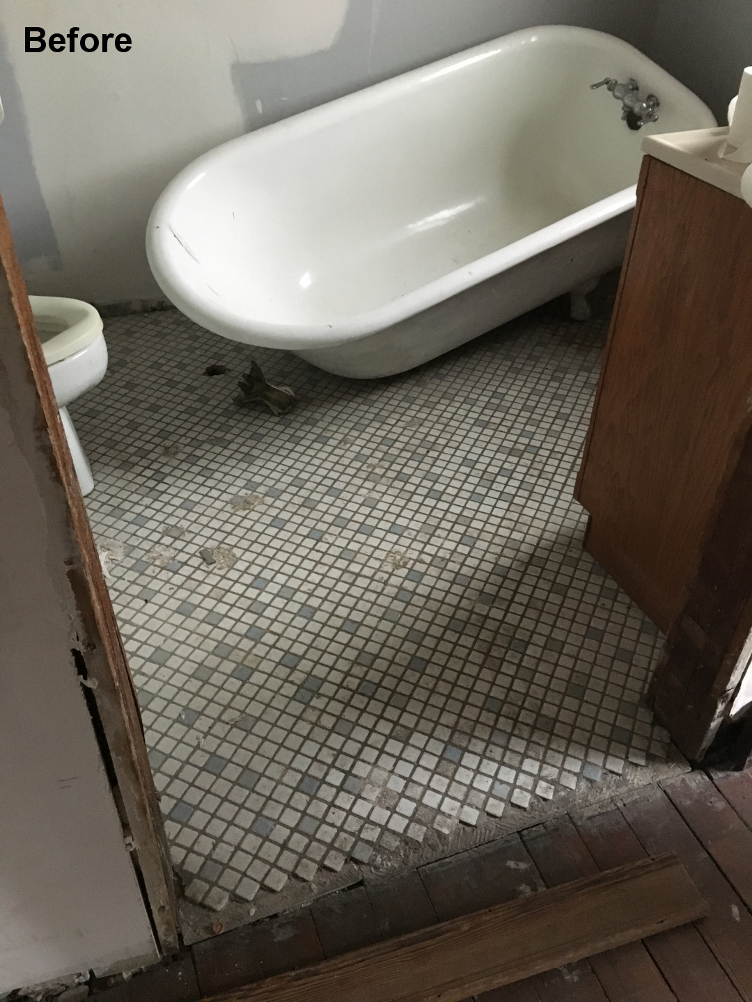 Chicago historic renovation bathroom before